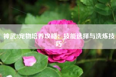神武3宠物培养攻略：技能选择与洗炼技巧