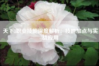 天下3职业技能深度解析：技能加点与实战应用