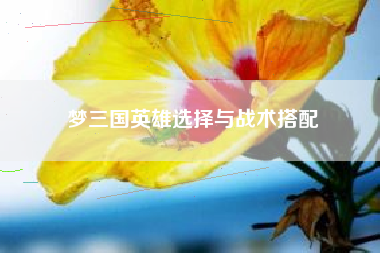 梦三国英雄选择与战术搭配