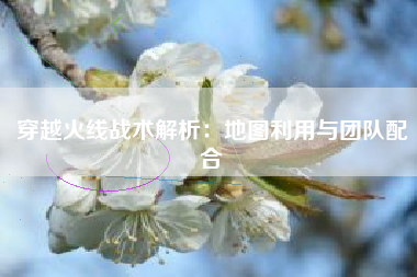 穿越火线战术解析：地图利用与团队配合