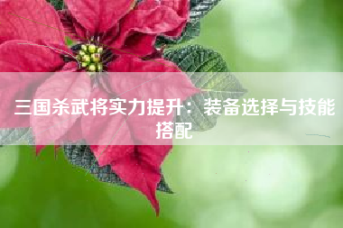 三国杀武将实力提升：装备选择与技能搭配