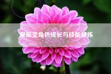 星辰变角色成长与技能修炼