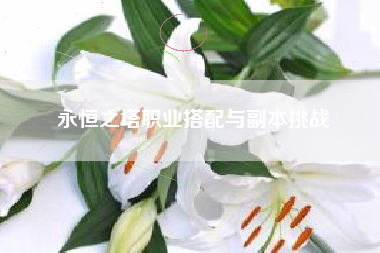 永恒之塔职业搭配与副本挑战