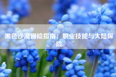 黑色沙漠冒险指南：职业技能与大陆探险