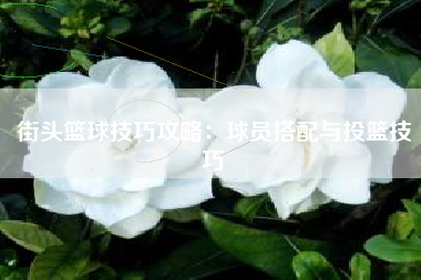 街头篮球技巧攻略：球员搭配与投篮技巧