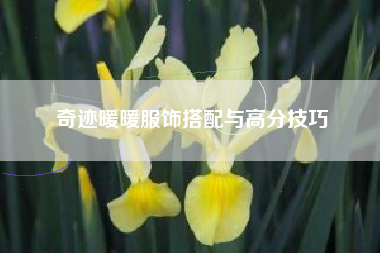 奇迹暖暖服饰搭配与高分技巧