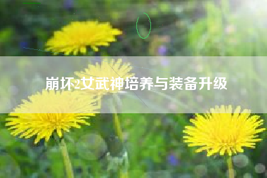 崩坏2女武神培养与装备升级