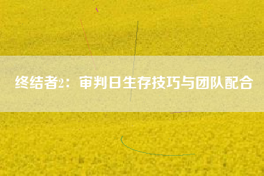 终结者2：审判日生存技巧与团队配合